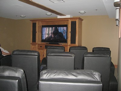 movie theatre and media room